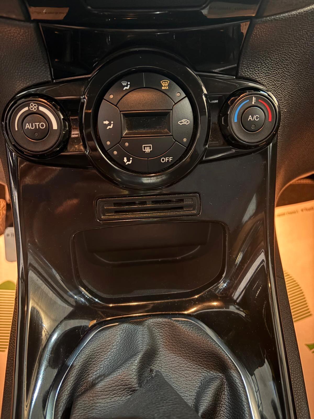 Ford Fiesta 1.4 5 porte Bz.- GPL Black & White Edition