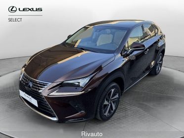 Lexus NX Hybrid 4WD Luxury