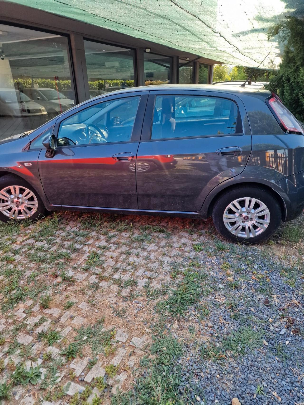 Fiat Punto 1.3 MJT II 75 CV 5 porte Lounge AUTO DESTINATA A COMMERCIANTI E OPERATORI DEL SETTORE