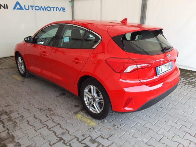 FORD Focus 1.0 EcoBoost 125cv Business *solo 39.000 Km*