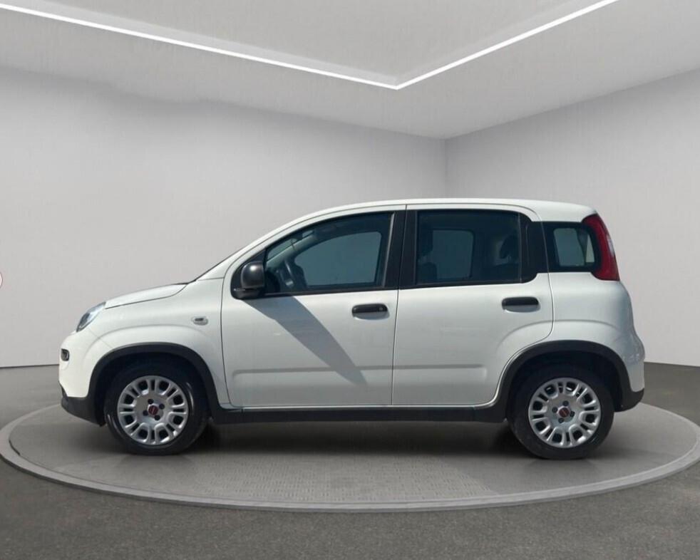 Fiat Panda 1.0 FireFly Hybrid 70cv PREZZO REALE