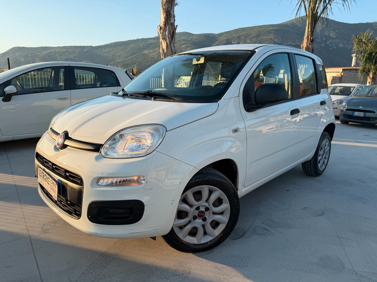 FIAT PANDA ANNO 2015 900 NATURAL/POWER 80 CV