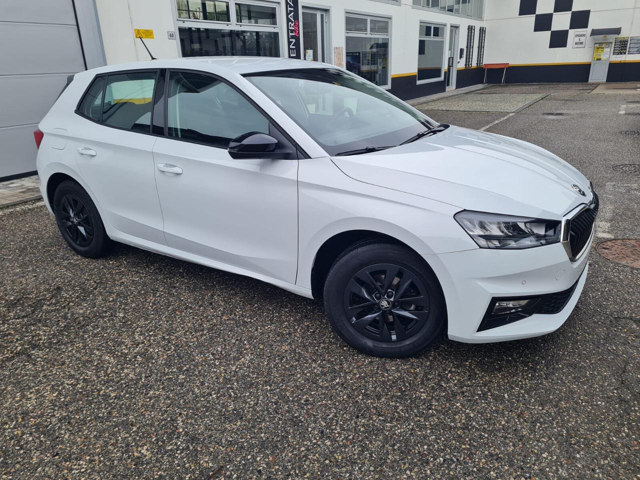 Skoda Fabia 1.0 TSI EVO 95 CV Selection