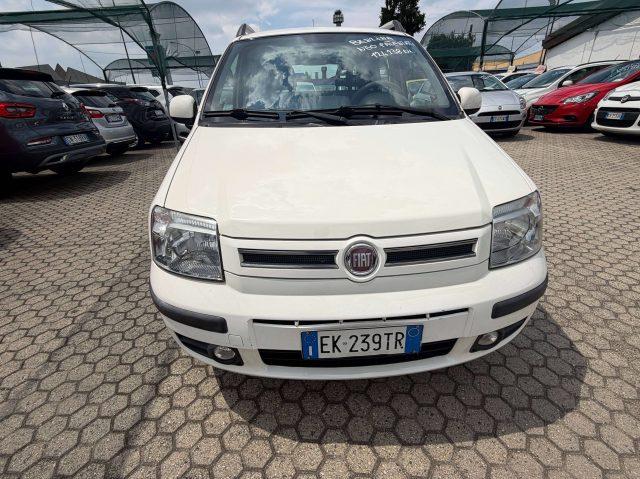 FIAT Panda Panda II 1.2 Dynamic 69cv E5
