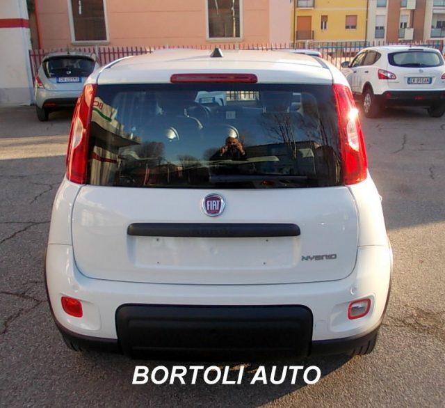 FIAT Panda 1.0 KM ZERO FIREFLY HYBRID IDONEA PER NEOPATENTATI