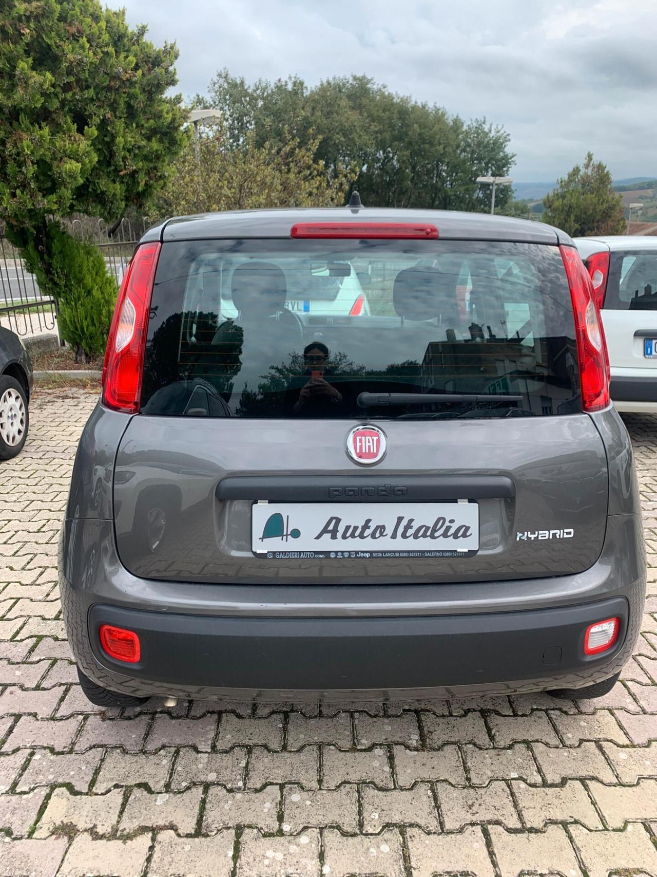 FIAT PANDA 1.0 FireFly 70CV S&S HYBRID 2022