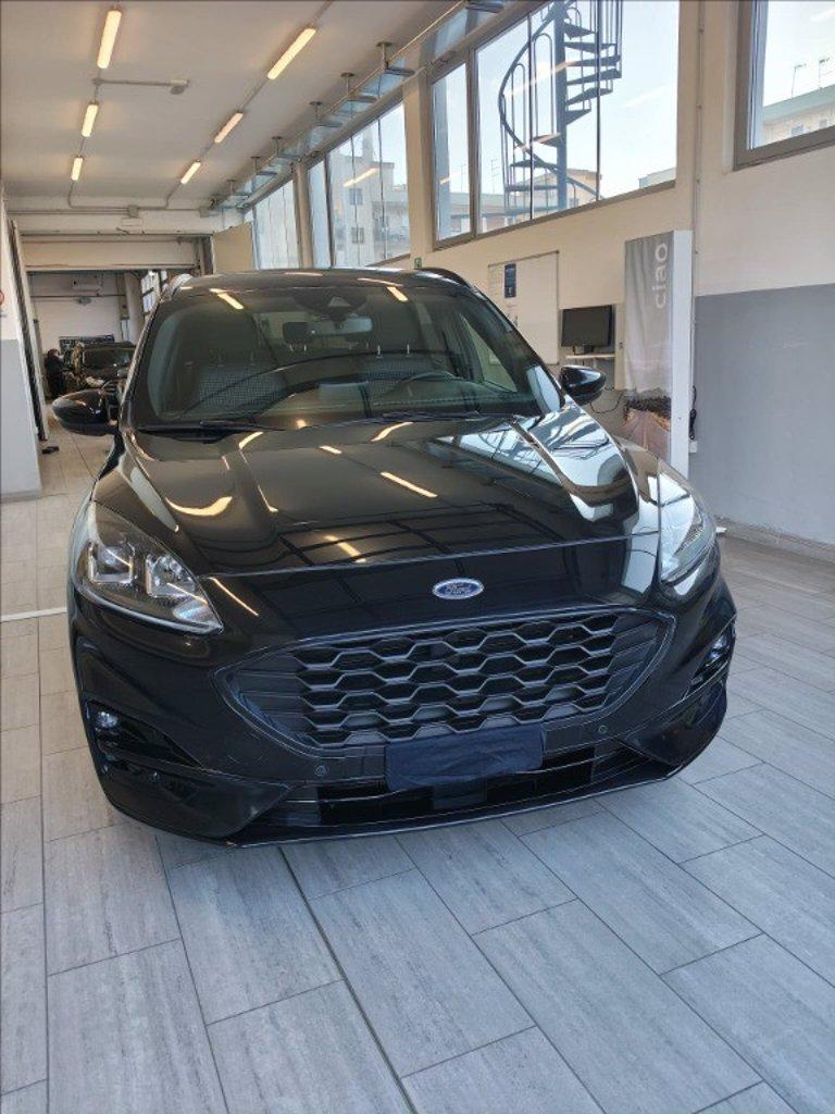 FORD Kuga 2.0 ecoblue ST-Line 2wd 120cv auto del 2024