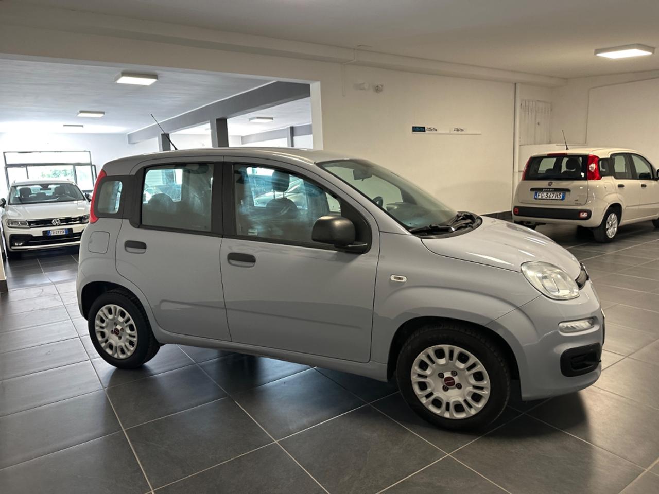 FIAT PANDA LOUNGE 1.2 NEOPATENTATI 69CV P.CONSEGNA