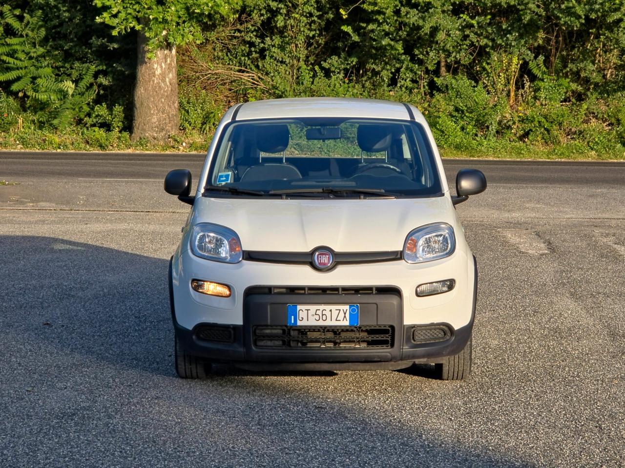 Fiat Panda 1.0 FireFly S&S Hybrid CV-69 E6 Manuale NEO 2024