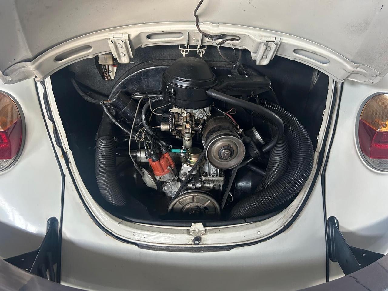 Volkswagen Maggiolino