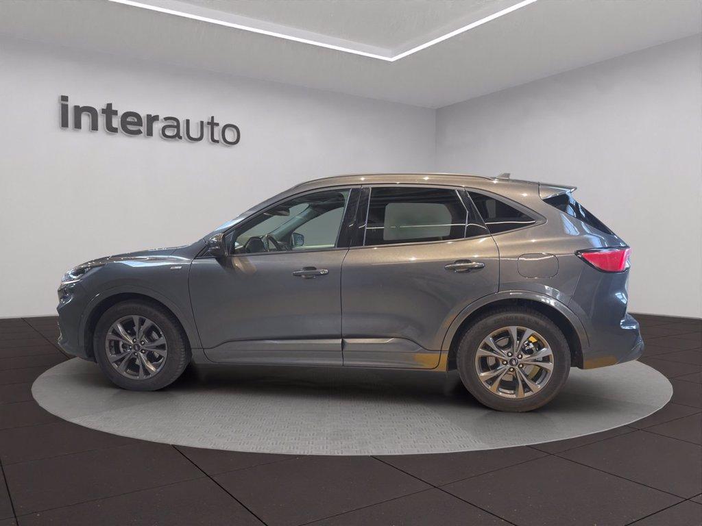 FORD Kuga 1.5 ecoblue ST-Line X 2wd 120cv auto del 2022