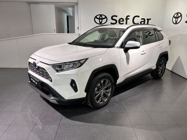 Toyota RAV4 RAV4 2.5 HV (218CV) E-CVT 2WD Active + DYNAMIC PACK
