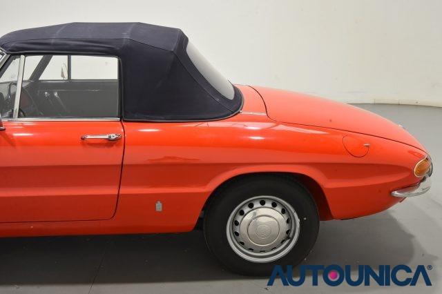 ALFA ROMEO Spider 1300 JUNIOR OSSO DI SEPPIA ASI TARGA ORO