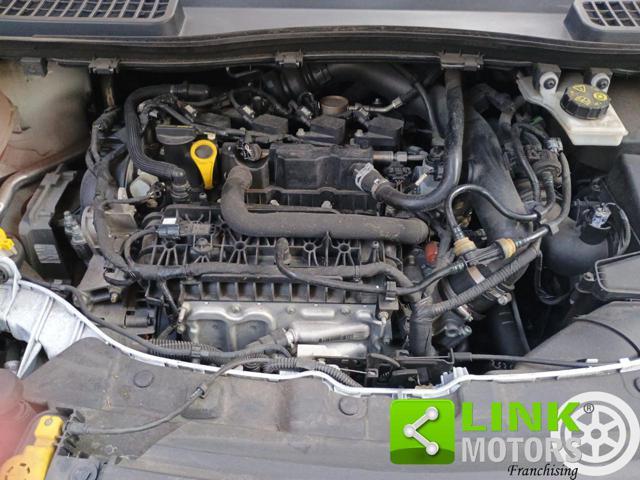 FORD Kuga 1.5 EcoBoost 120 CV S&S 2WD ST-Line