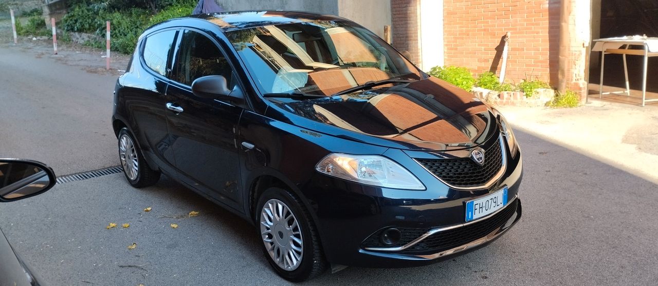 Lancia Ypsilon 1.3 MJT 16V 95 CV 5 porte S&amp;S Silver