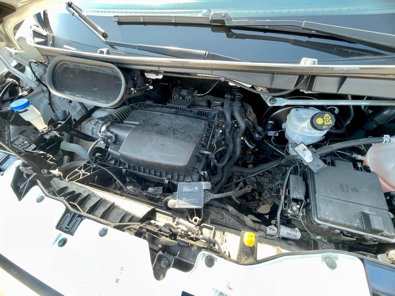 FORD TRANSIT 350 L2H2 TREND 2.0 - 2022