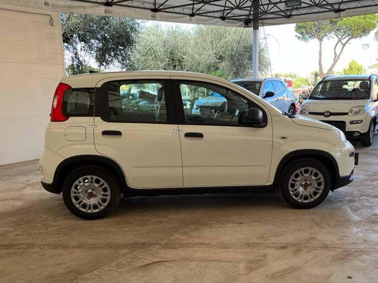 FIAT Panda III 2021 - Panda 1.0 firefly hybrid s&s 70cv