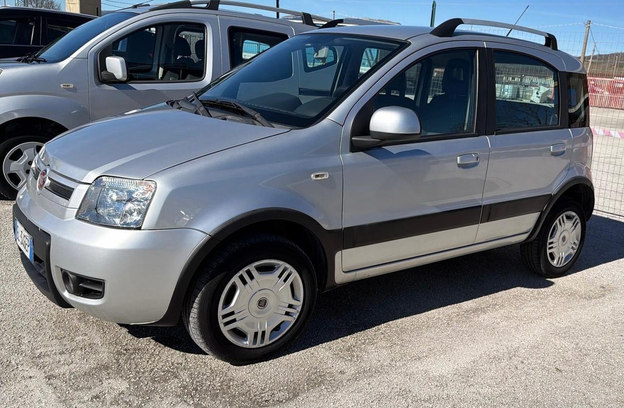 Fiat Panda 1.4 Climbing Natural Power