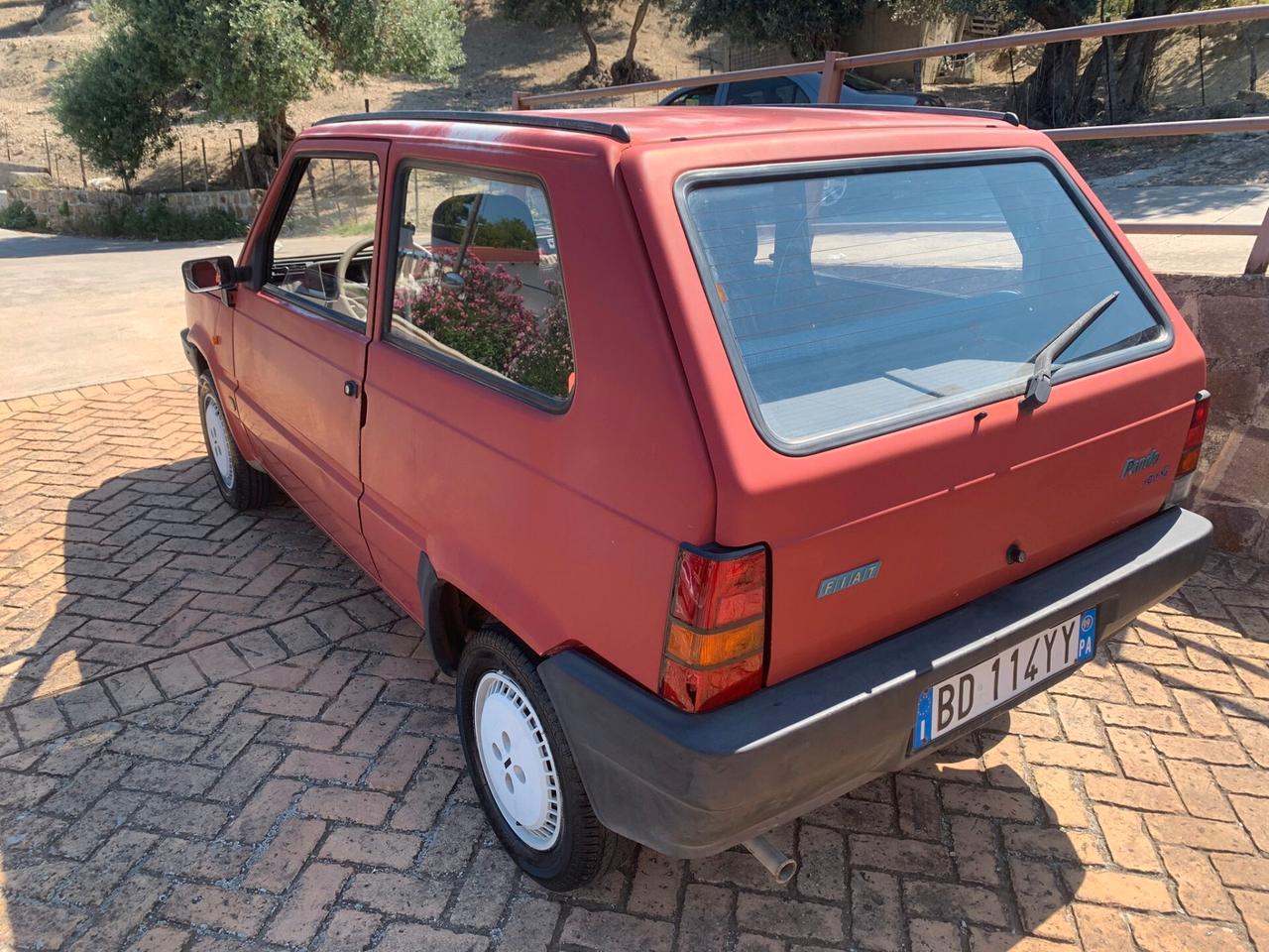 Fiat Panda 900 i.e. cat Young