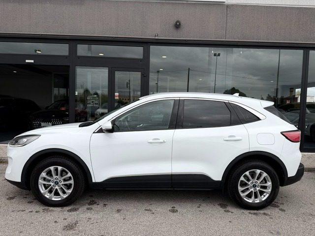 FORD Kuga 2.0 EcoBlue Hybrid 150 CV 2WD Titanium Business