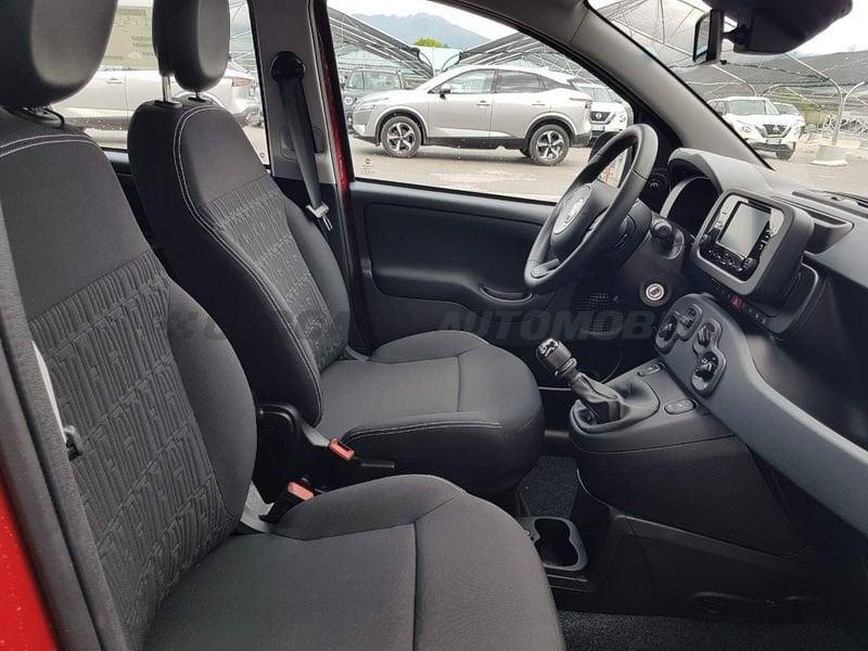 FIAT Panda Panda 1.0 firefly hybrid s&s 70cv