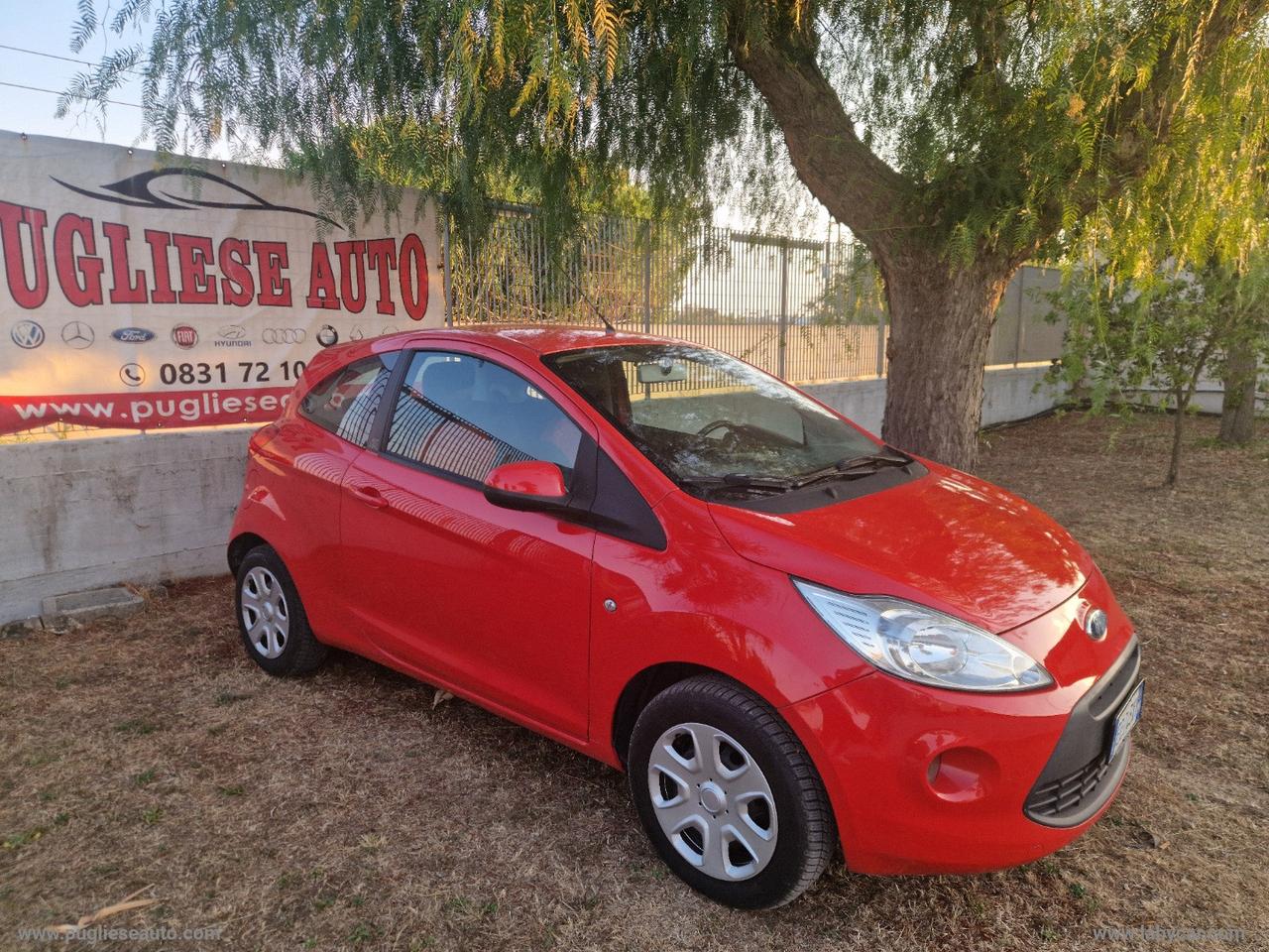 FORD Ka 1.2 8V 69 CV Titanium