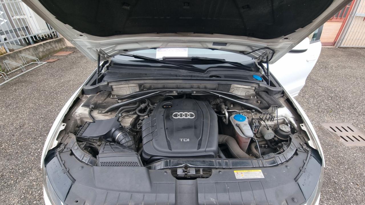 Audi Q5 2.0 TDI 170 CV quattro S tronic Advanced Plus