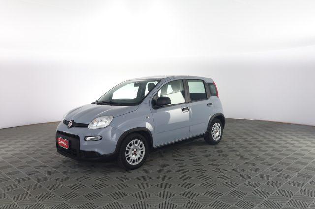 FIAT Panda Panda 1.0 FireFly Hybrid City Life
