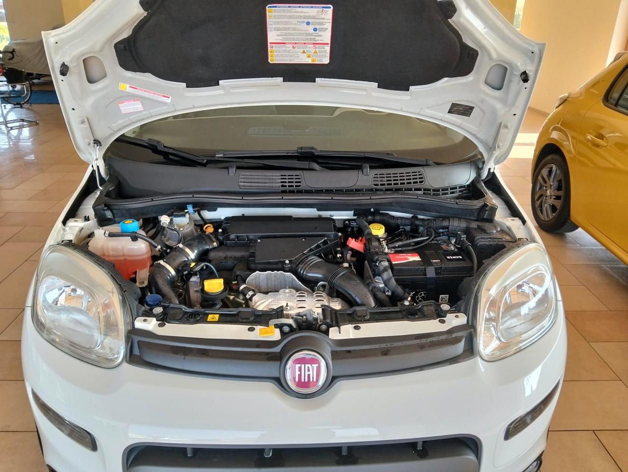 Fiat Panda 1.3 MJT 80 CV S&S 4x4