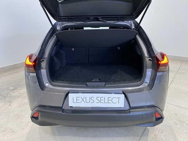 Lexus UX 250h Hybrid Executive 250H