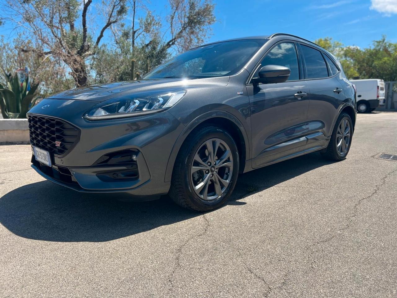Ford Kuga 1.5 EcoBlue 120 CV 2WD ST-Line
