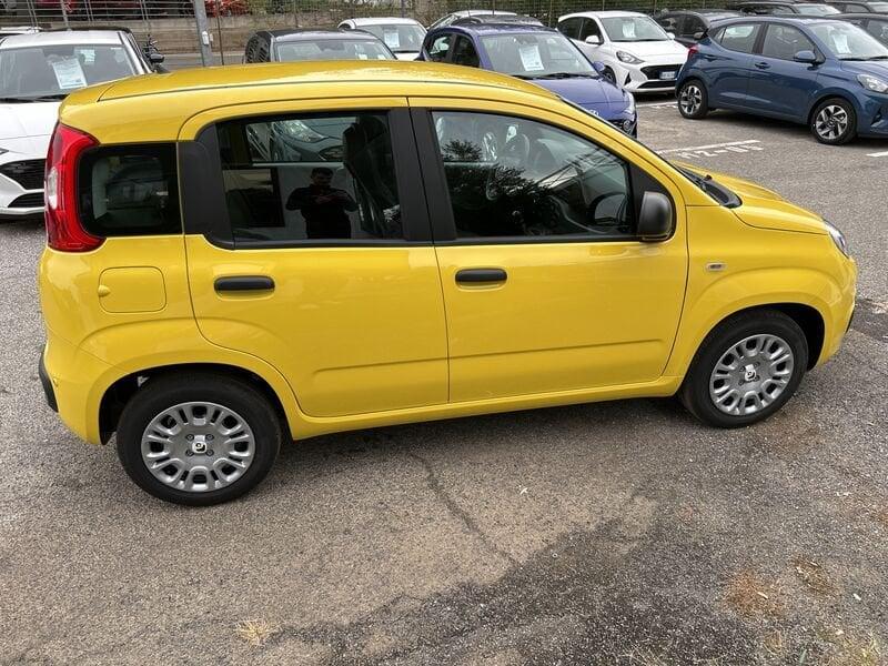 FIAT Panda New 1.0 70cv Hybrid Panda