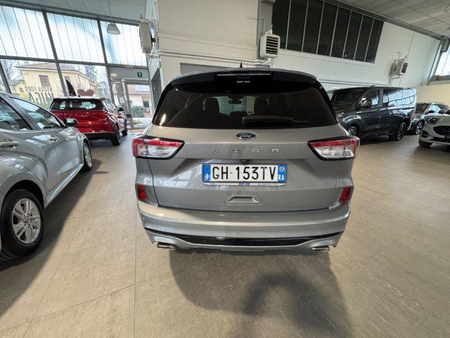 FORD Kuga 1.5 EcoBlue 120 CV 2WD ST-Line