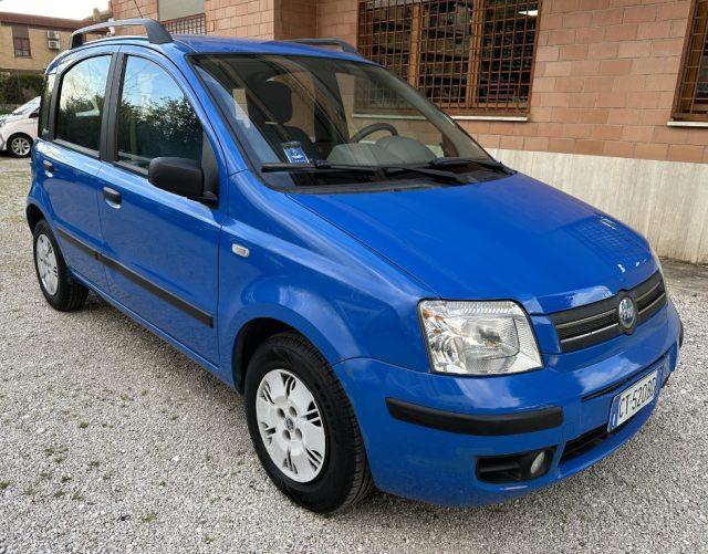 FIAT Panda 1.2 Dynamic 60 CV NEOPATENTATI GARANZIA