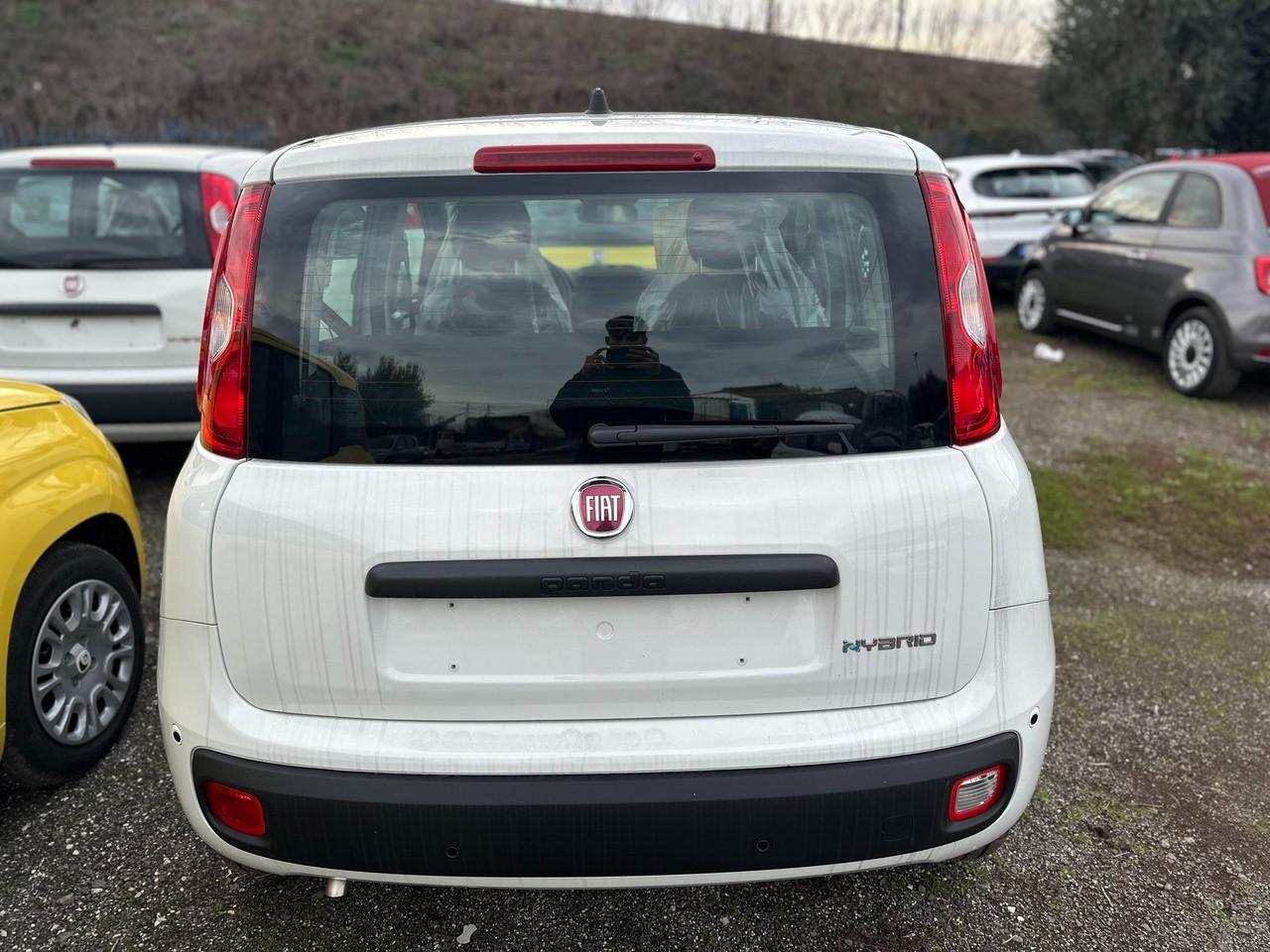 FIAT Pandina III 2024 - Pandina 1.0 firefly hybrid s&s 70cv 5p.ti