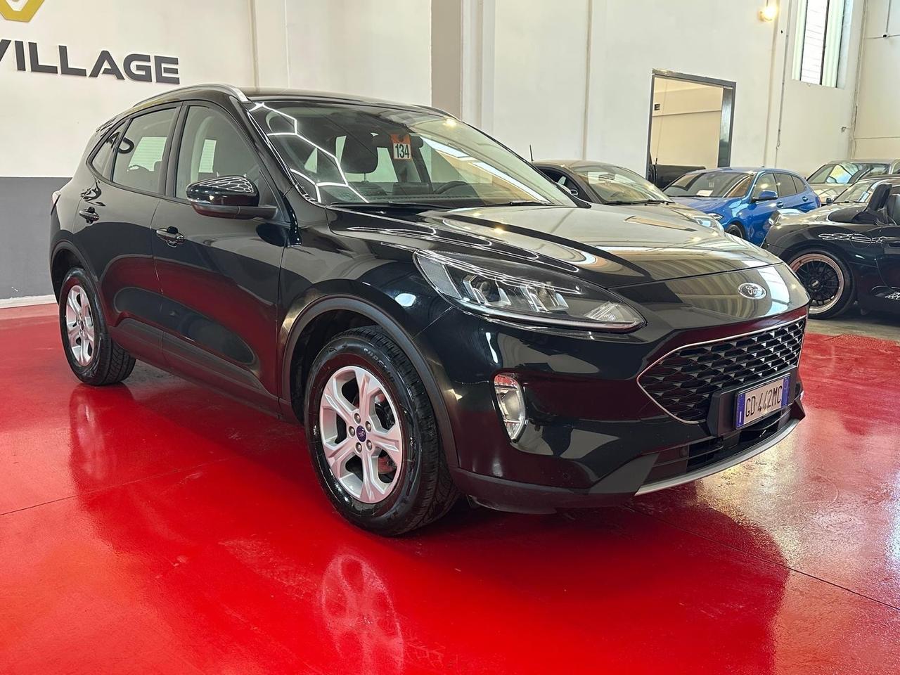 Ford Kuga 1.5 EcoBlue 120 CV aut. 2WD Titanium Business
