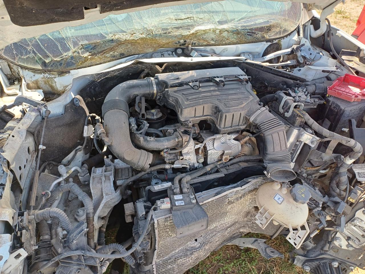 AUTO INCIDENTATA ANNO 2019 Jeep Renegade 1.0 T3 Longitude