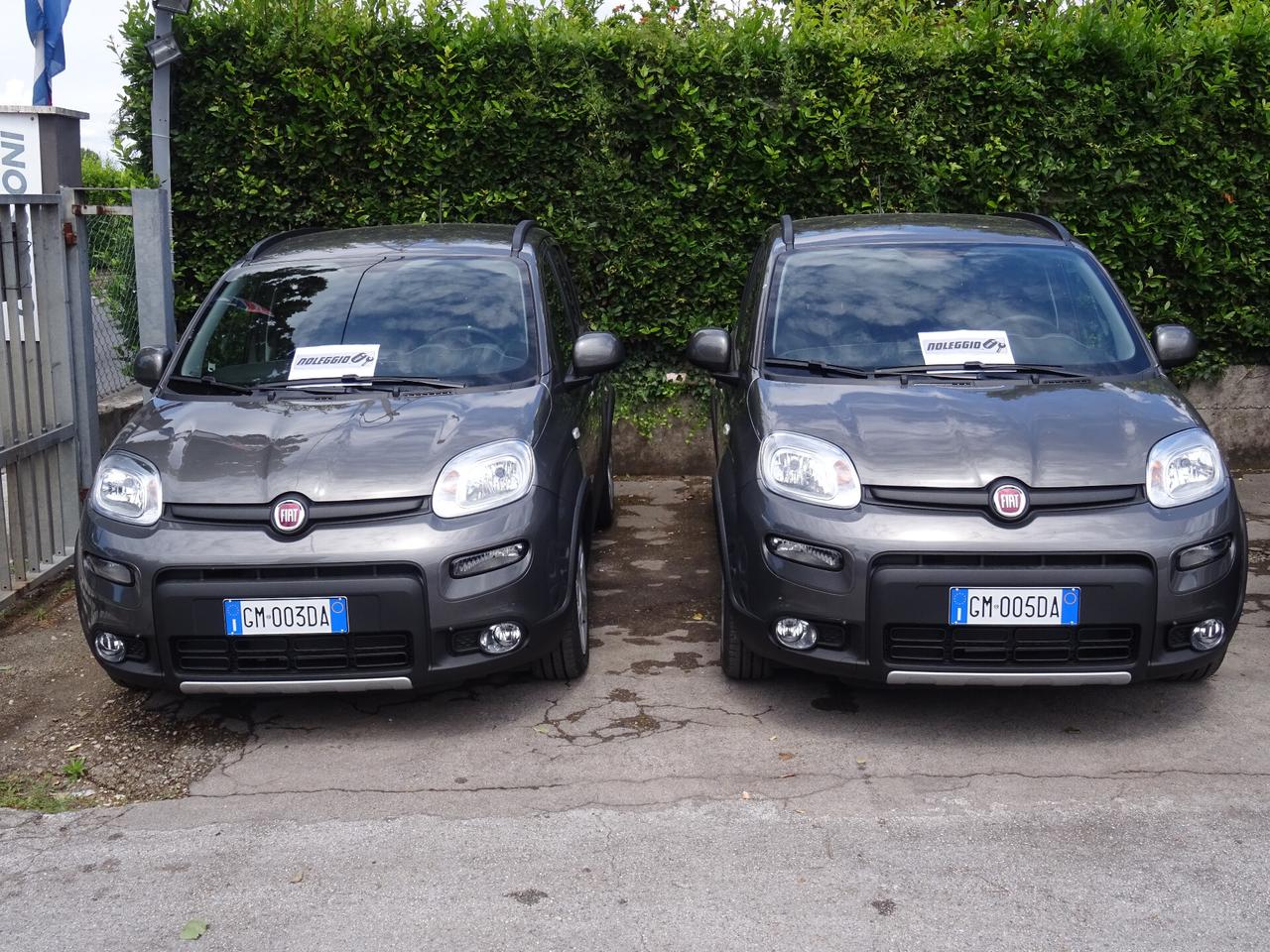 Fiat Panda 1.0 FireFly S&S Hybrid NOLEGGIAMI