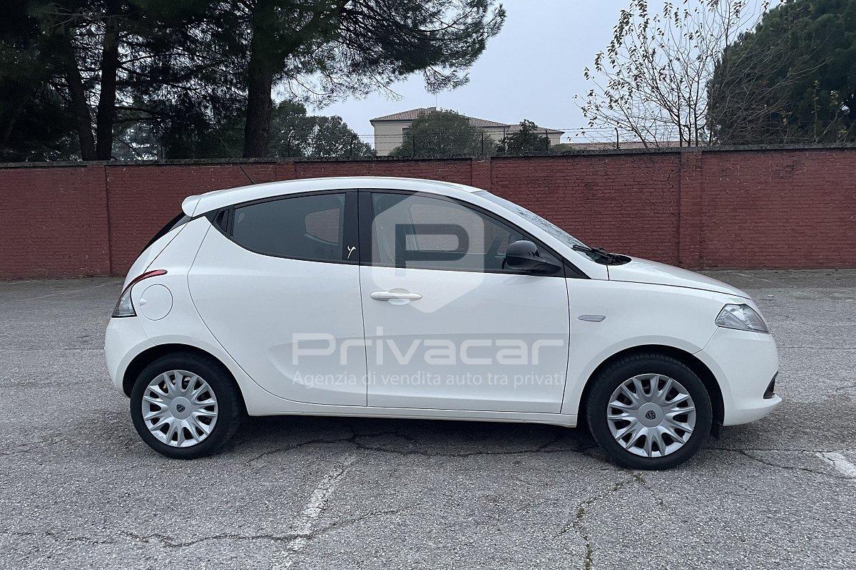 LANCIA Ypsilon 1.2 69 CV 5 porte GPL Ecochic Elefantino