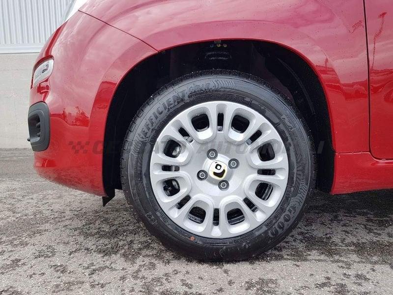 FIAT Panda Panda 1.0 firefly hybrid s&s 70cv