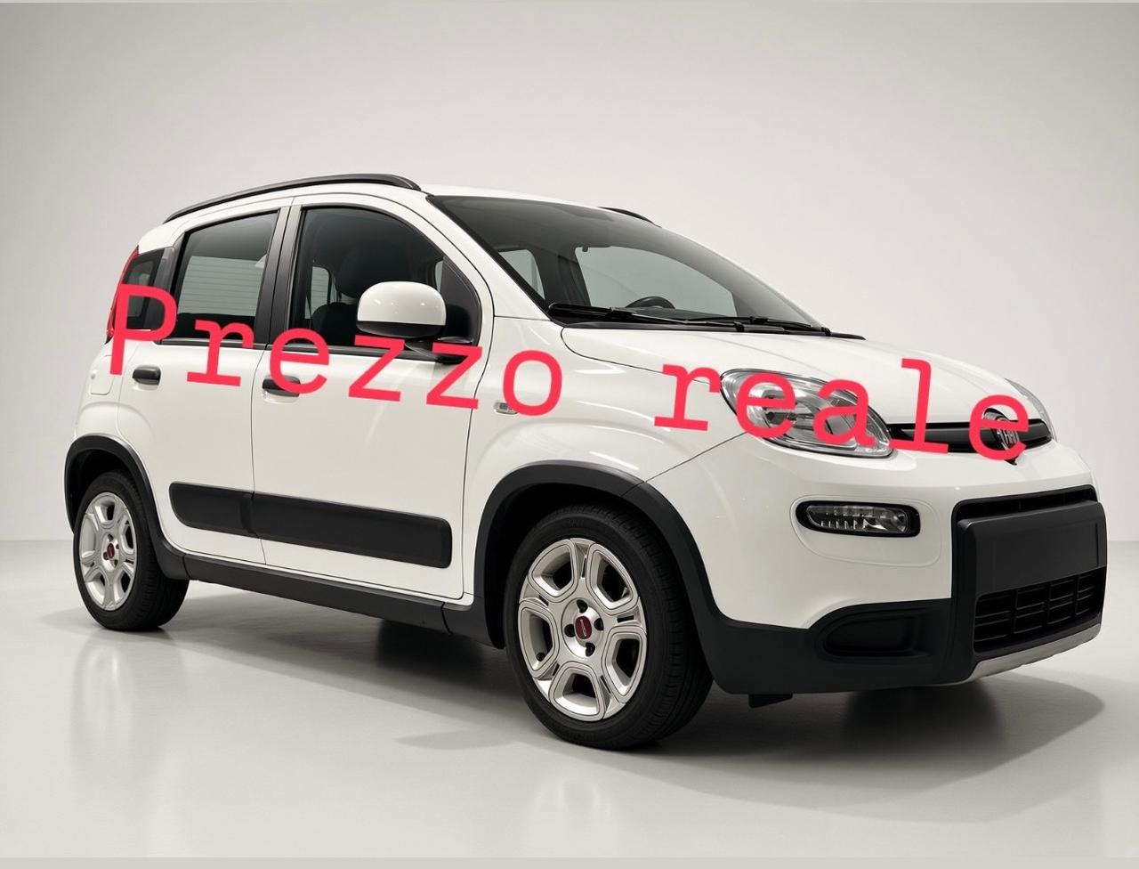 Fiat Panda 1.0 FireFly S&S Hybrid