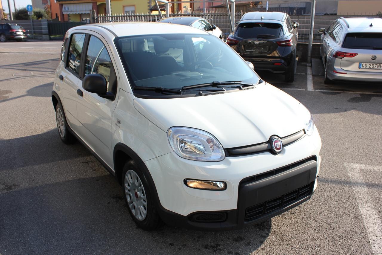 Fiat Panda 1.0 FireFly S&S Hybrid SUPER PREZZO SENZA VINCOLI