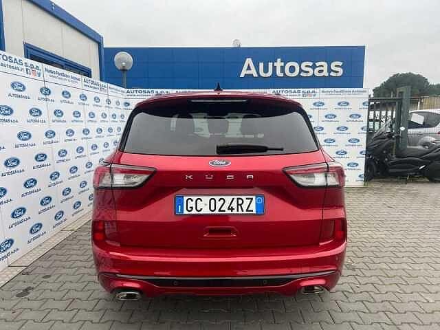 Ford Kuga 1.5 EcoBlue 120 CV 2WD ST-Line X