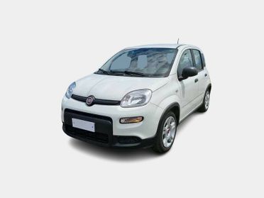 FIAT PANDA 1.0 HYBRID MY24