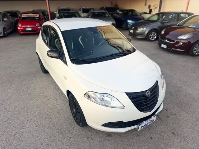 LANCIA Ypsilon 1.3 MJT 16V 95 CV 5 porte S&S Elefantino