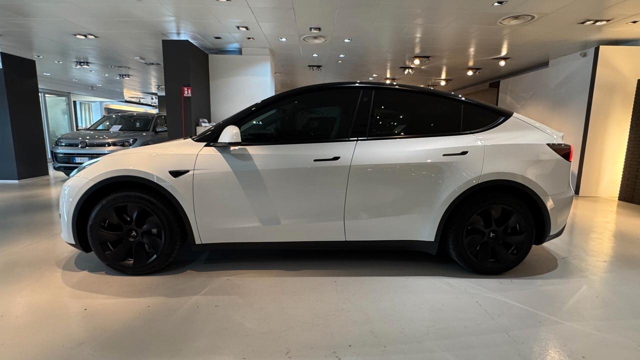 TESLA MODEL Y RWD 120CV - 2024