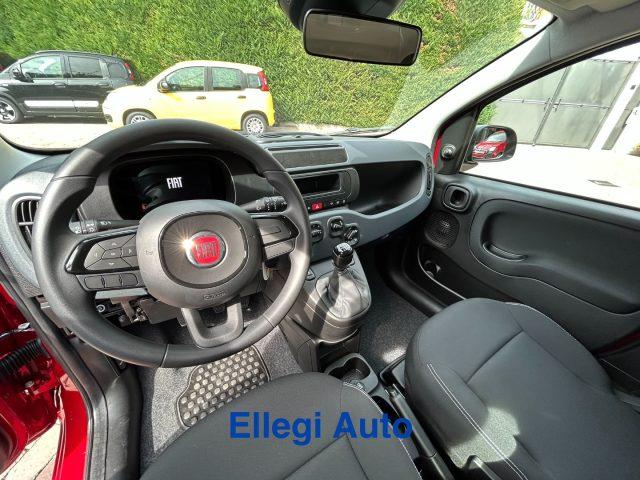 FIAT Pandina PROMO FINANZIAM 1.0 FireFly 65 CV Hybrid Pop KM 0