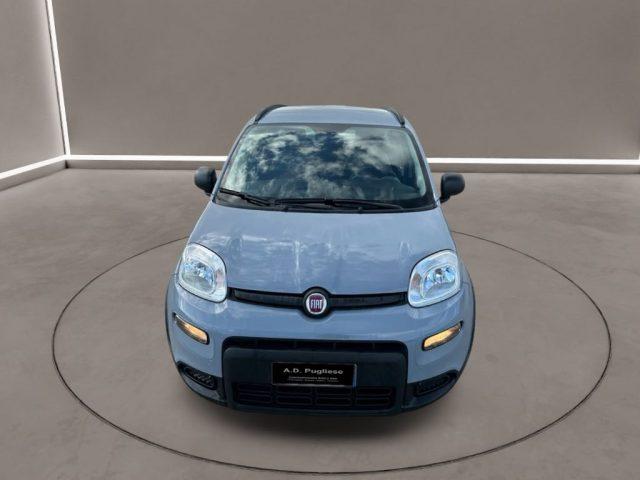 FIAT Panda 3ª serie - 1.0 FireFly S&S Hybrid City Life