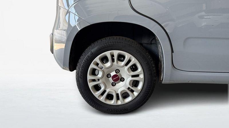 FIAT Panda III 2016 1.2 69cv Easy S&S my19