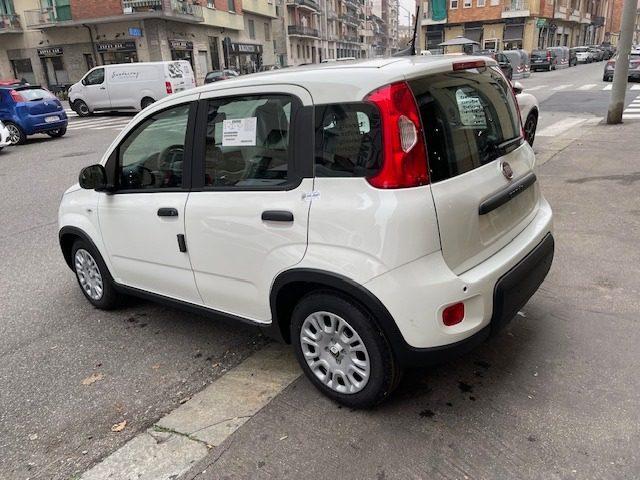 FIAT Panda 1.0 FireFly S&S Hybrid Pandina